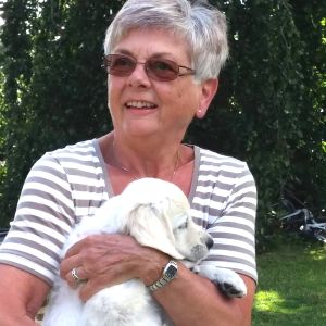 Jytte Lis Halskov: tilknyttet August Art