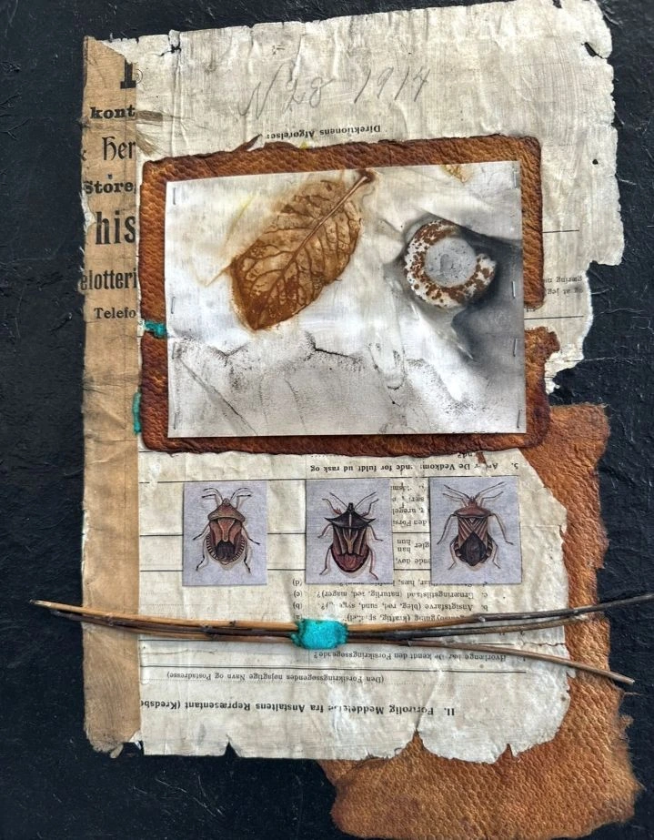 Yvonne Justesen: kulage